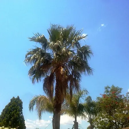 Regina Marina di Gioiosa Ionica