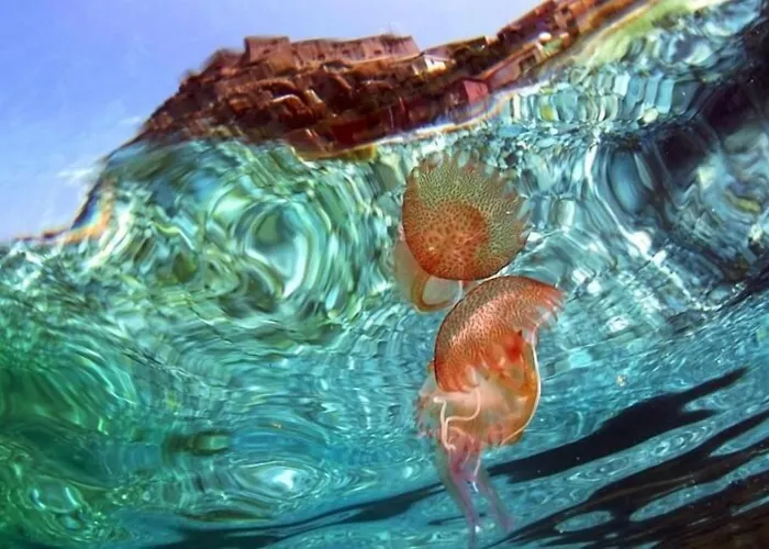 酒店 蕾佳娜住宅酒店