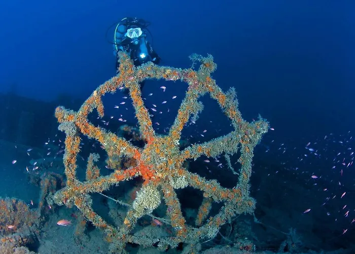 酒店 蕾佳娜住宅酒店 3*
