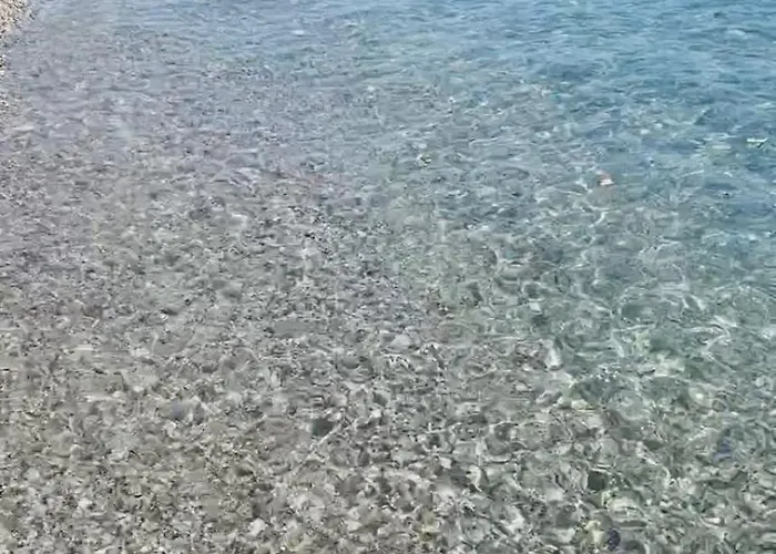 酒店 蕾佳娜住宅酒店 3*